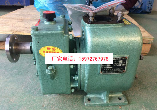 ��������80QZ-60/25N����ʽ�x���ͱÈDƬ