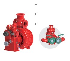 �����ÈDƬ