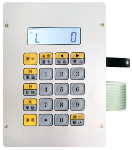 �I�PĤ�������I�P���`��