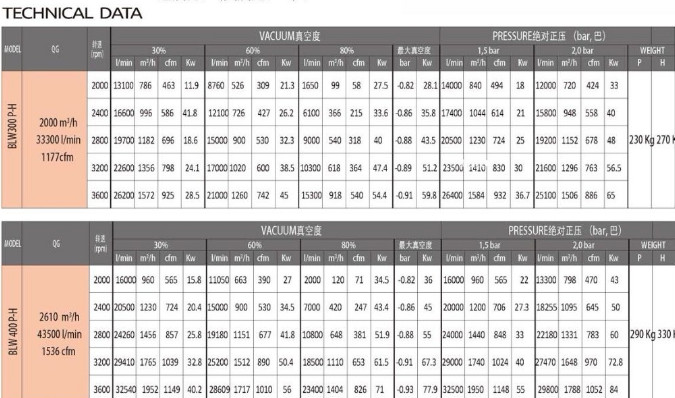 �����BP��BATTIONI PAGANI���M����ձ�