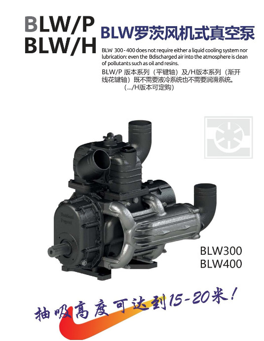 �����BP��BATTIONI PAGANI���M����ձ�