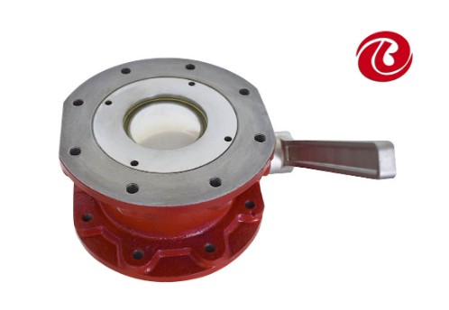 �������������ڌ������y